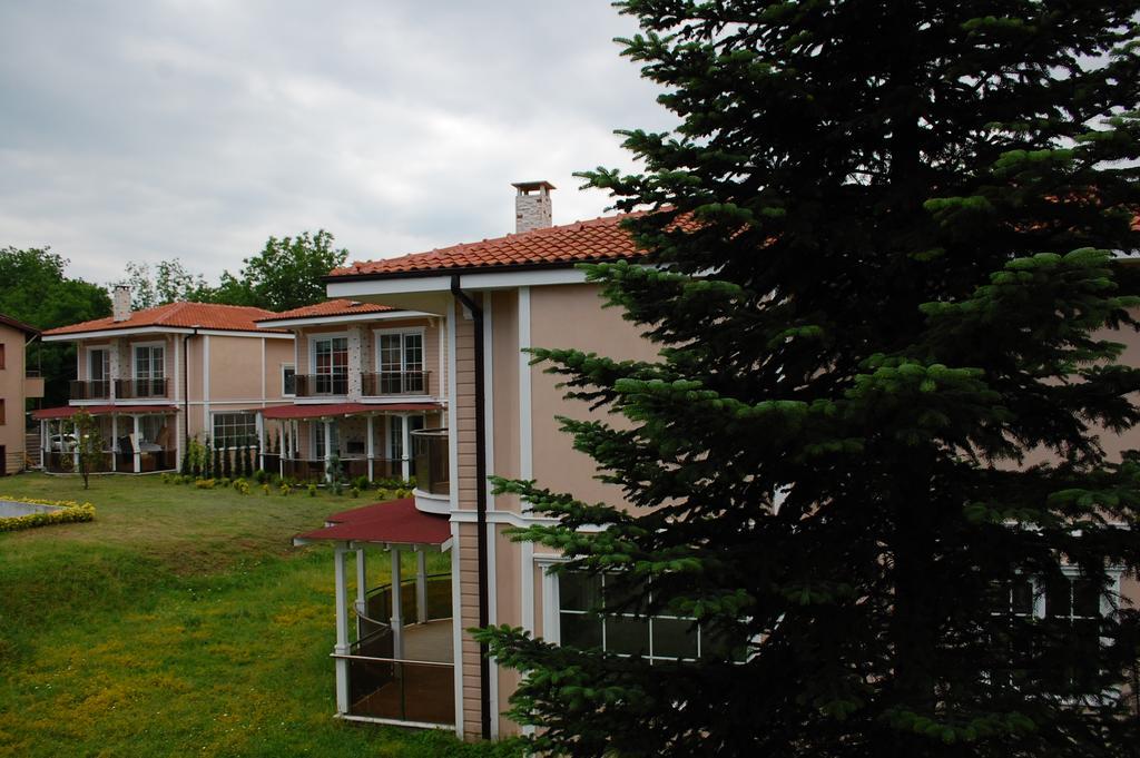 Comfort Sapanca Villa Экстерьер фото